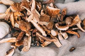 Gírgolas deshidratadas